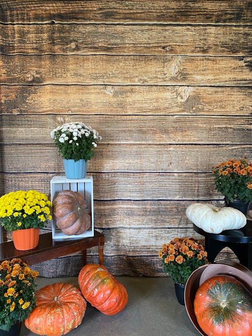 Foto stok gratis bunga-bunga, dinding kayu, salinan ruang