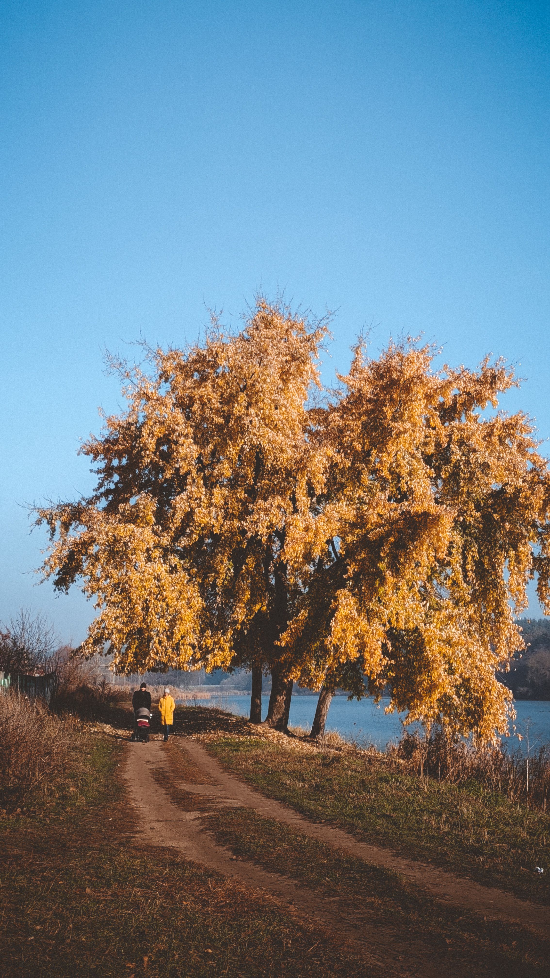 A family walks along an unpaved trail under bright autumn trees by a serene lake.