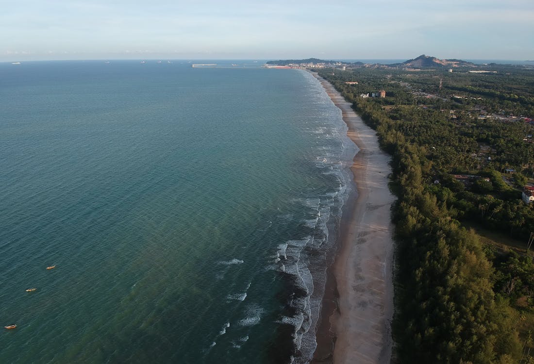 Corpo De água Azul Perto De árvores Verdes