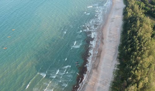 Aerial Photography of Beach