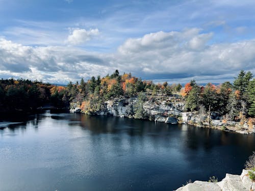 Foto d'estoc gratuïta de arbres de coníferes, fotografia des d'un dron, llac