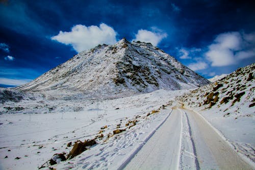 Gratis stockfoto met besneeuwd, bevriezen, bevroren