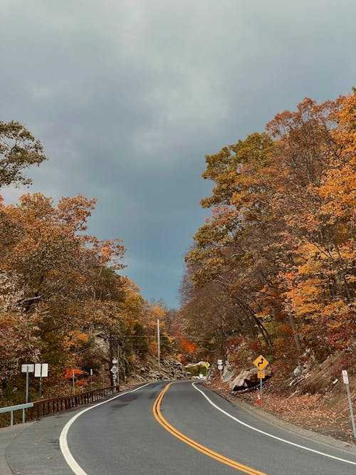 Foto d'estoc gratuïta de carretera, carretera de tardor, cel ennuvolat