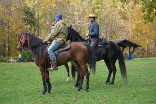 Men Riding Horses