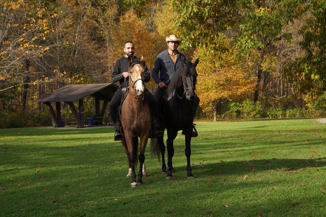 The Benefits of Riding a Horse The Benefits of Riding a Horse