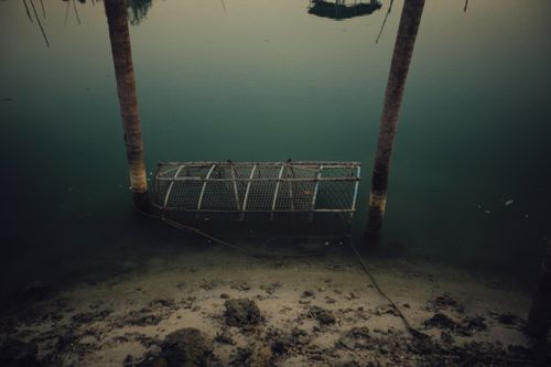 Free A peaceful coastal image featuring a submerged crab trap against the calm water at dawn. Stock Photo
