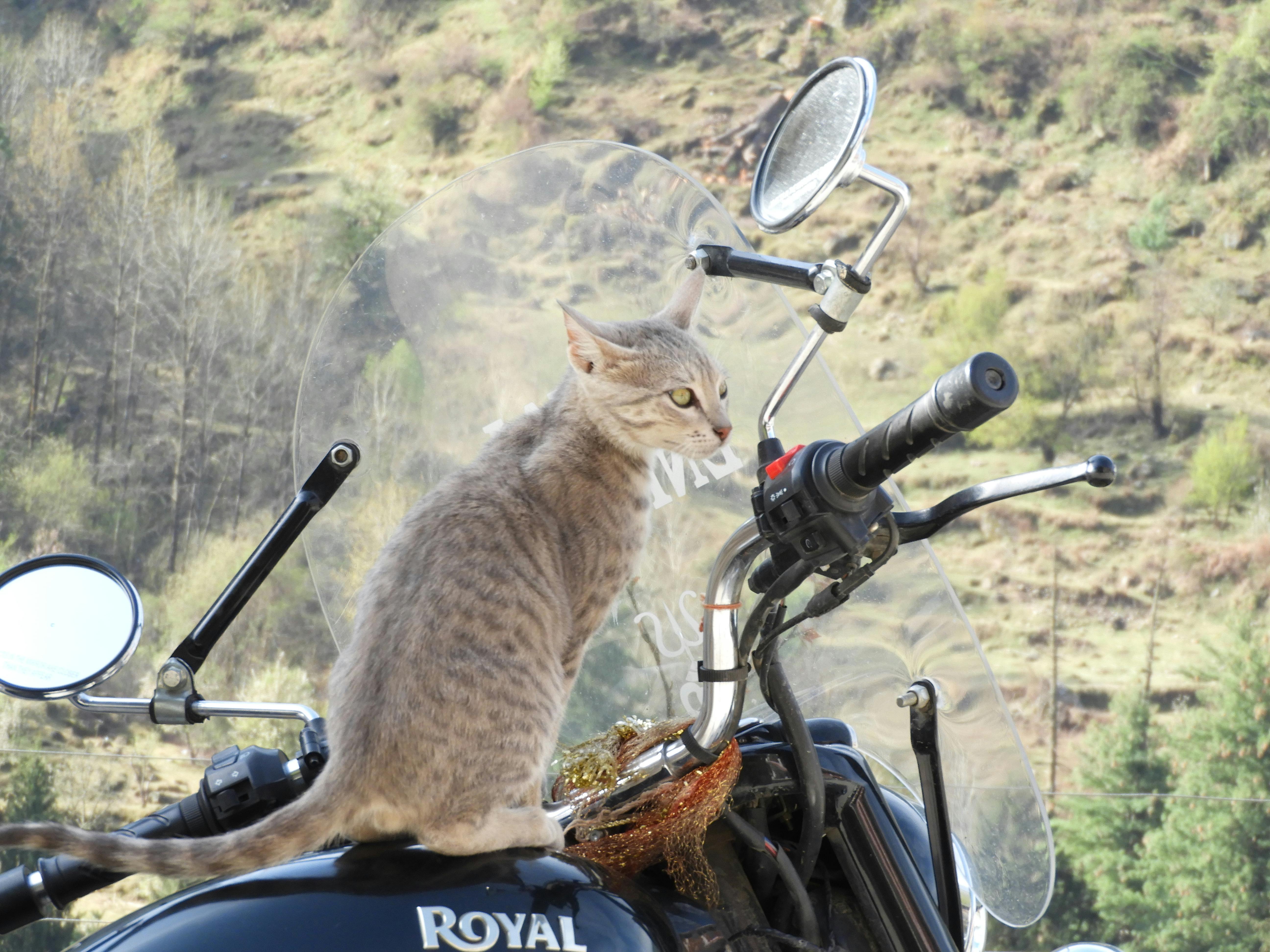 Person fastening a seatbelt in a car