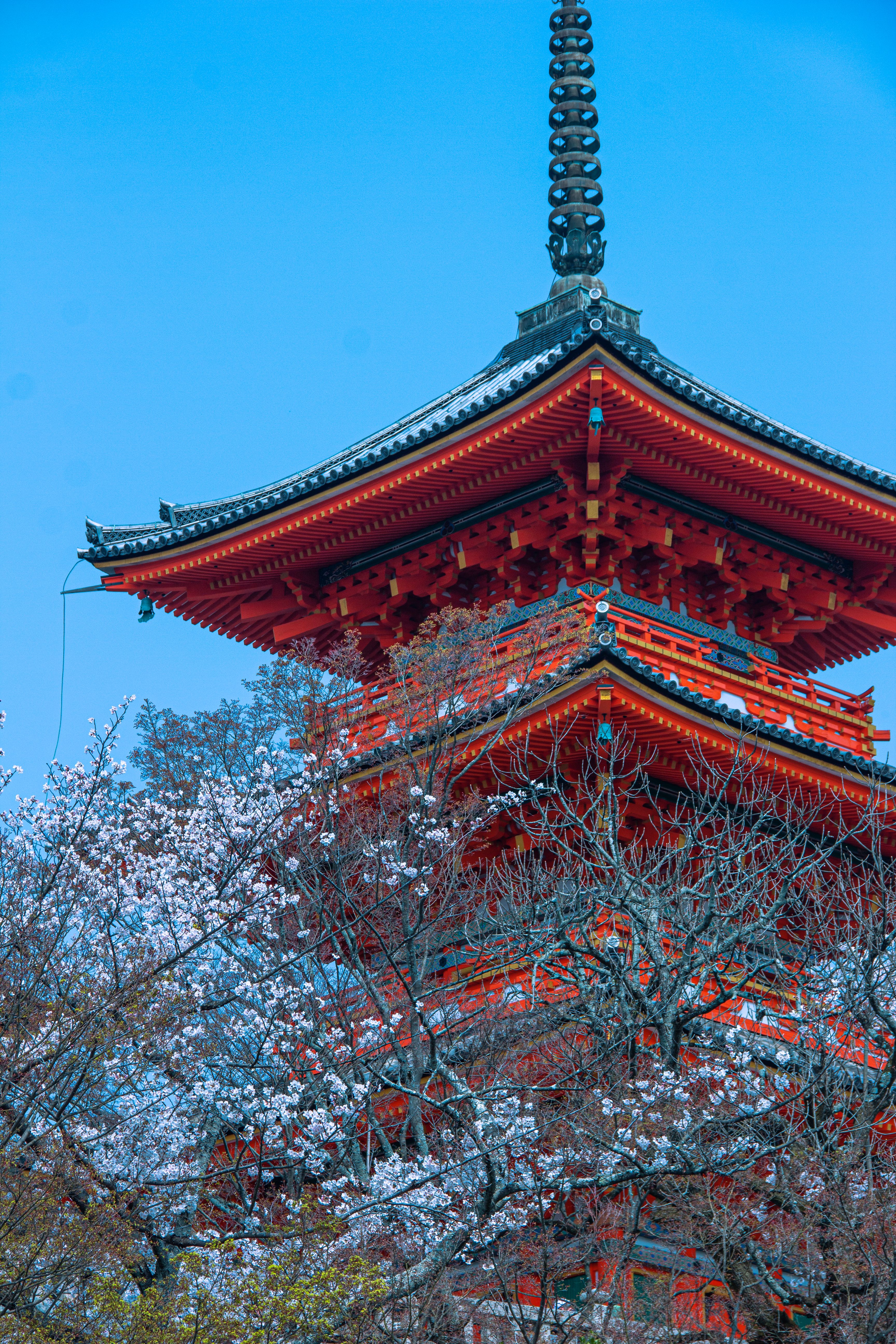Best Time to Visit Kyoto in 2026: A Season-by-Season Guide for Every Traveler