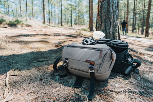 Free Photograph of Two Duffel Bags Under the Tree in Forest Stock Photo