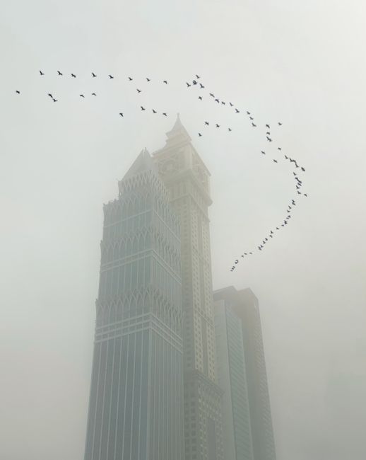 High-rise building in fog with a flock of birds in Dubai creating a serene ambiance.