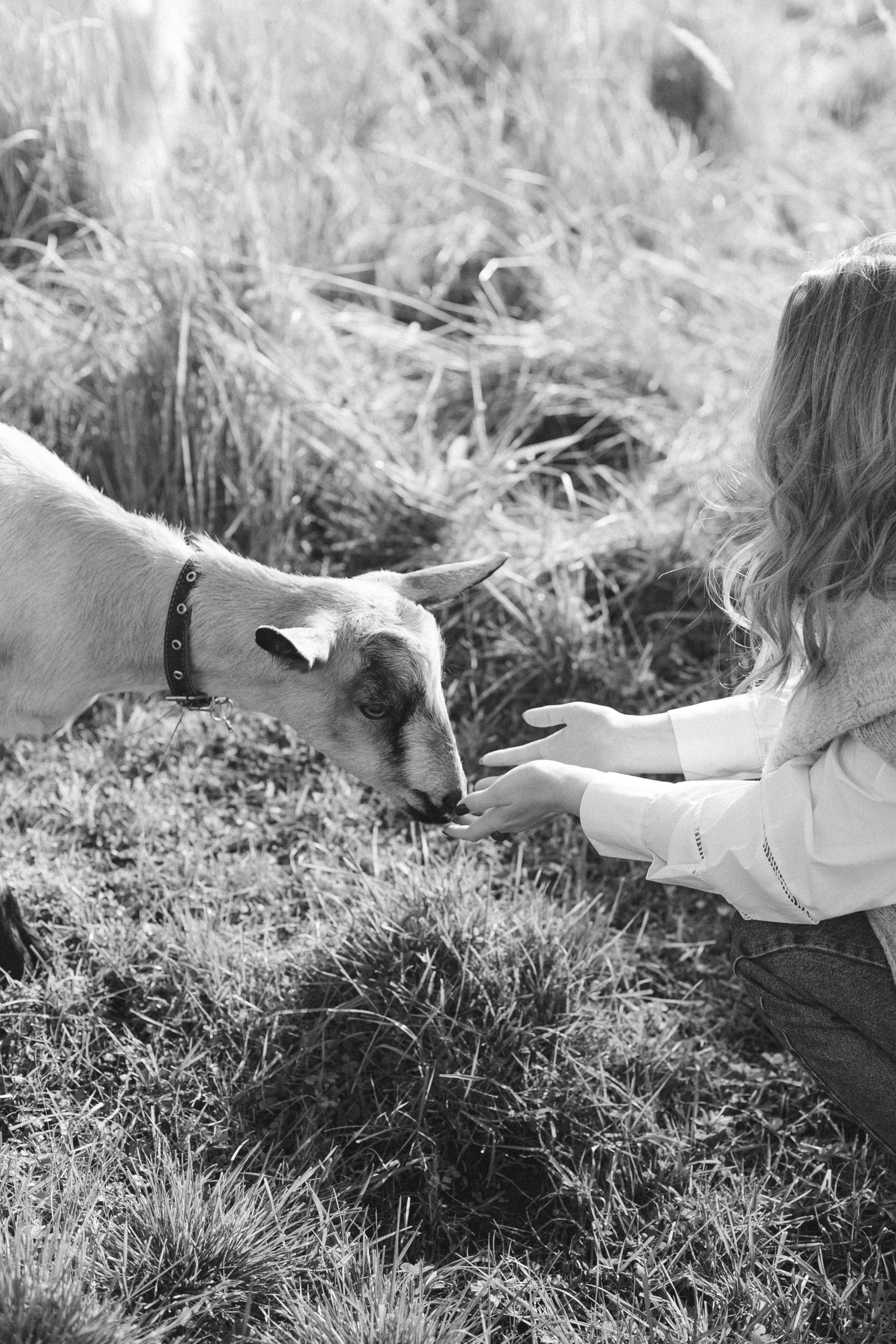 grátis Mulher Sentada Ao Lado De Uma Cabra Foto profissional