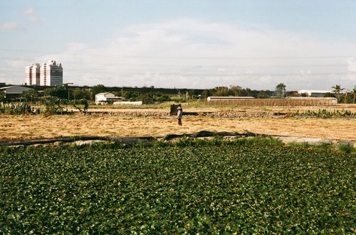 Free Wide view of farmland with a lone figure and buildings in the background under a clear sky. Stock Photo