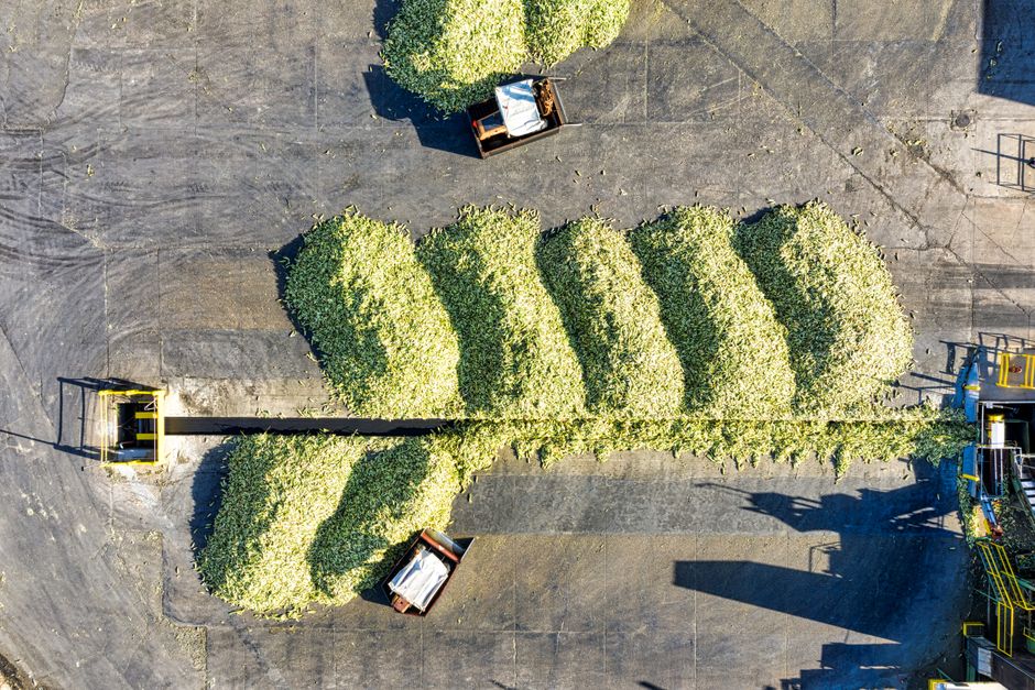 pexels photo 10101929 The Ultimate Guide to Agribusiness Insurance Coverage Discover agribusiness insurance essentials, coverage types, and risk strategies to protect your farm or ag business effectively. agricultural supply chain from farm to processing facility - agribusiness insurance