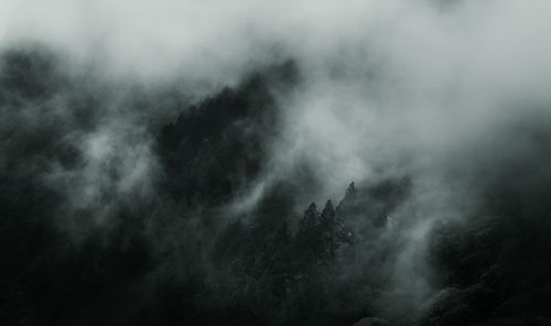 Free A mysterious aerial view of a fog-shrouded forest in Canada, creating an atmospheric ambiance. Stock Photo