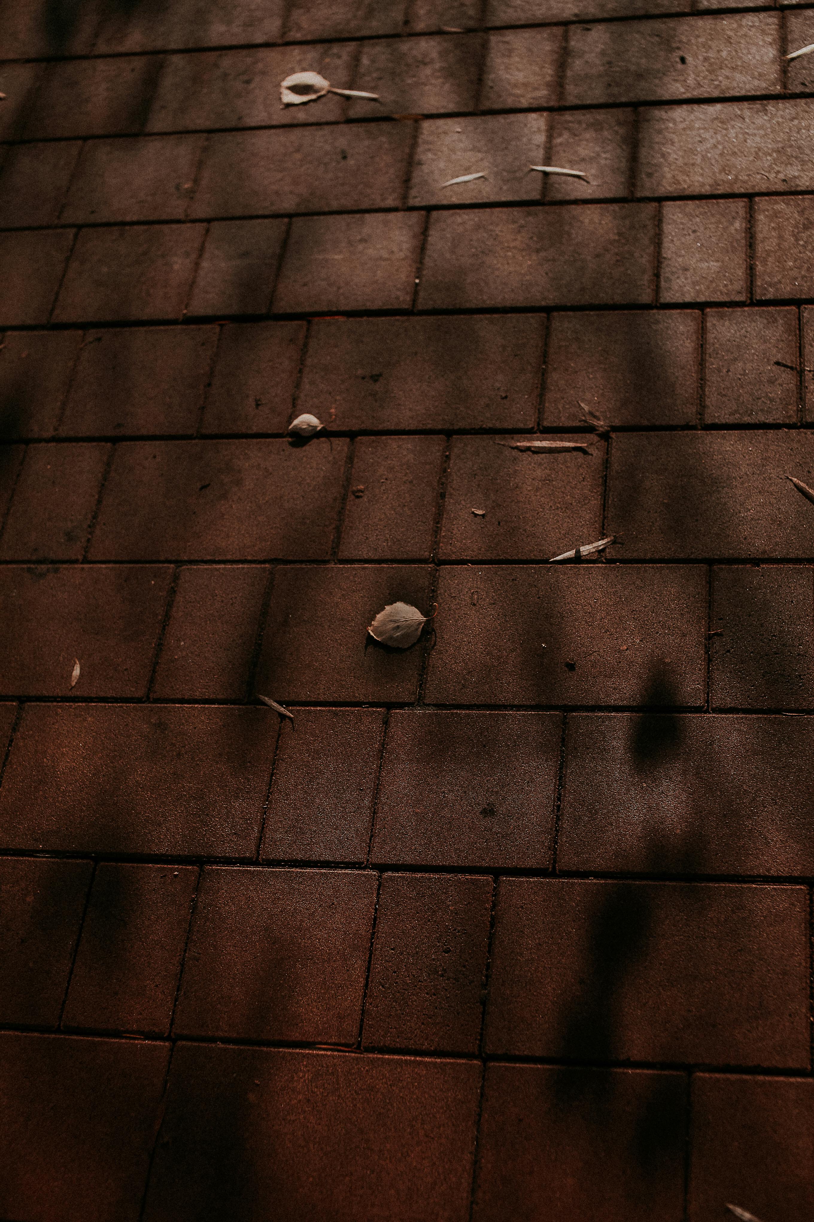 Shadows cast on brick pavement during the day, creating a textured and natural outdoor feel.
