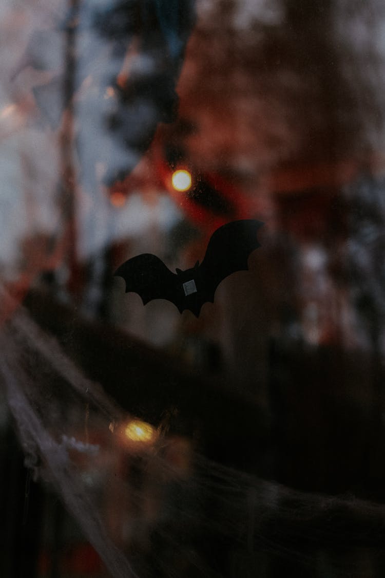 Black Bat Paper Cutout Sticking On Glass