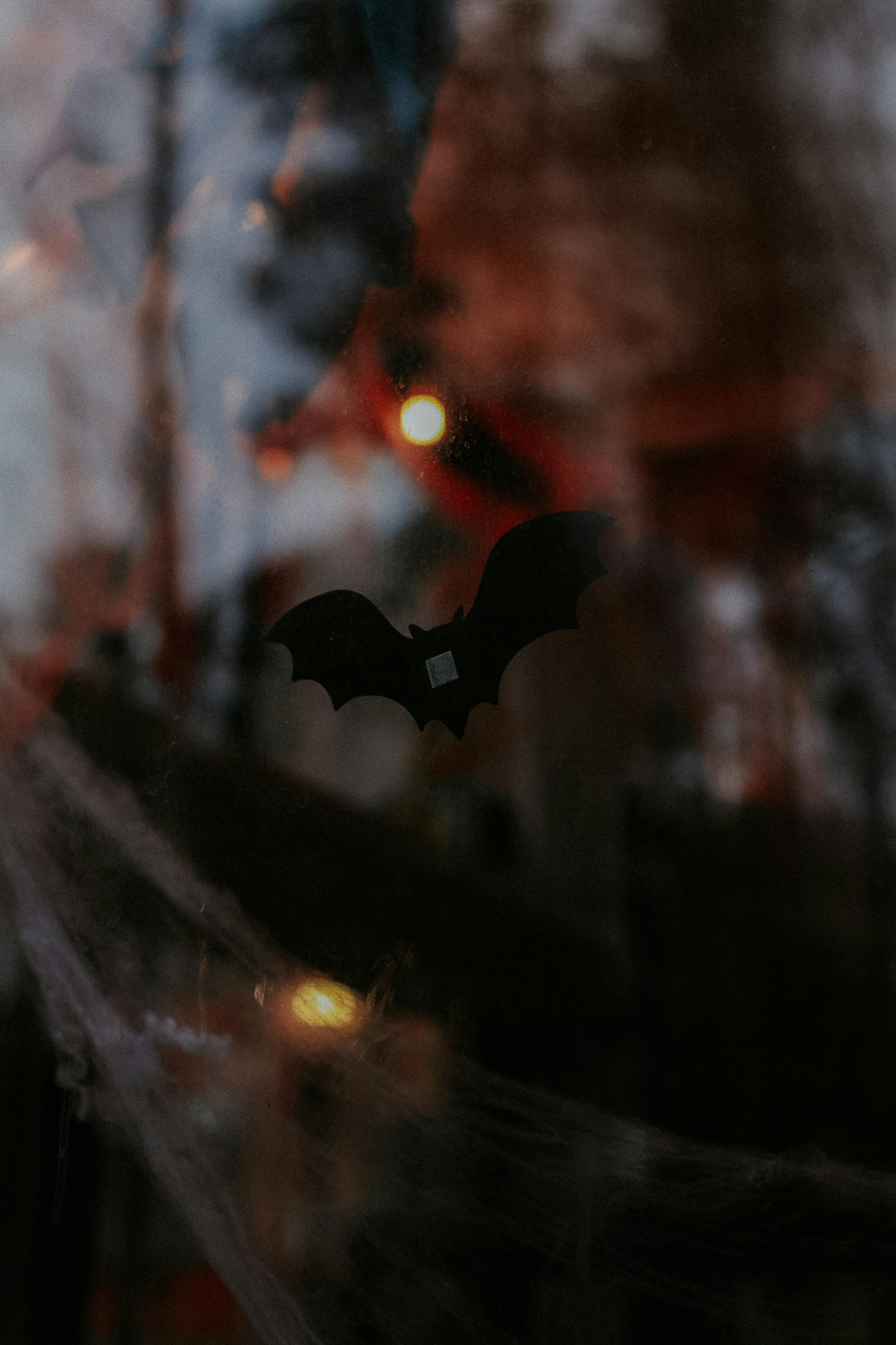 Bat Upside Down Photos, Download Free Bat Upside Down Stock Photos & HD