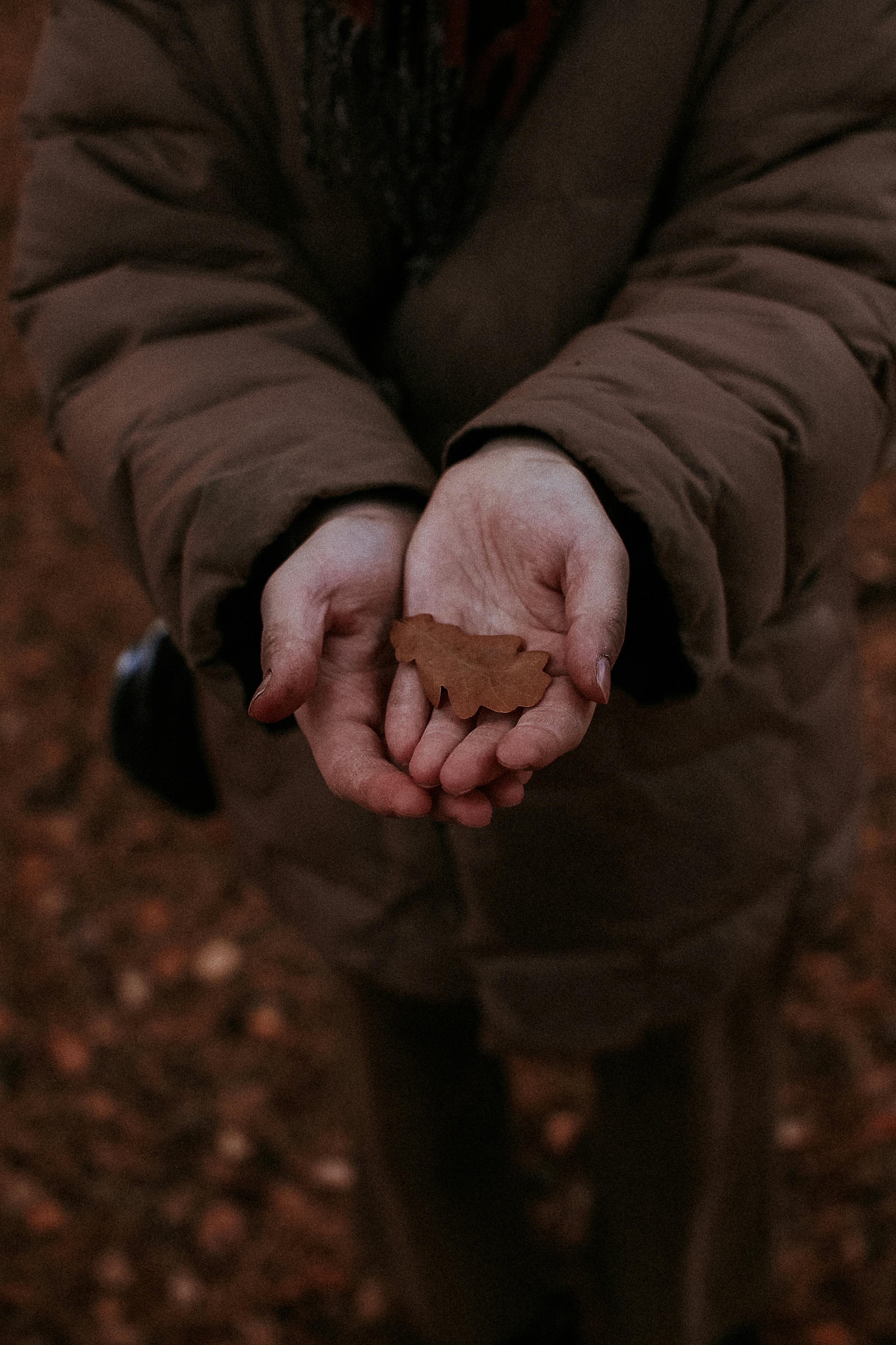 Hands in a brown jacket gently holding a single brown leaf on an autumn day.