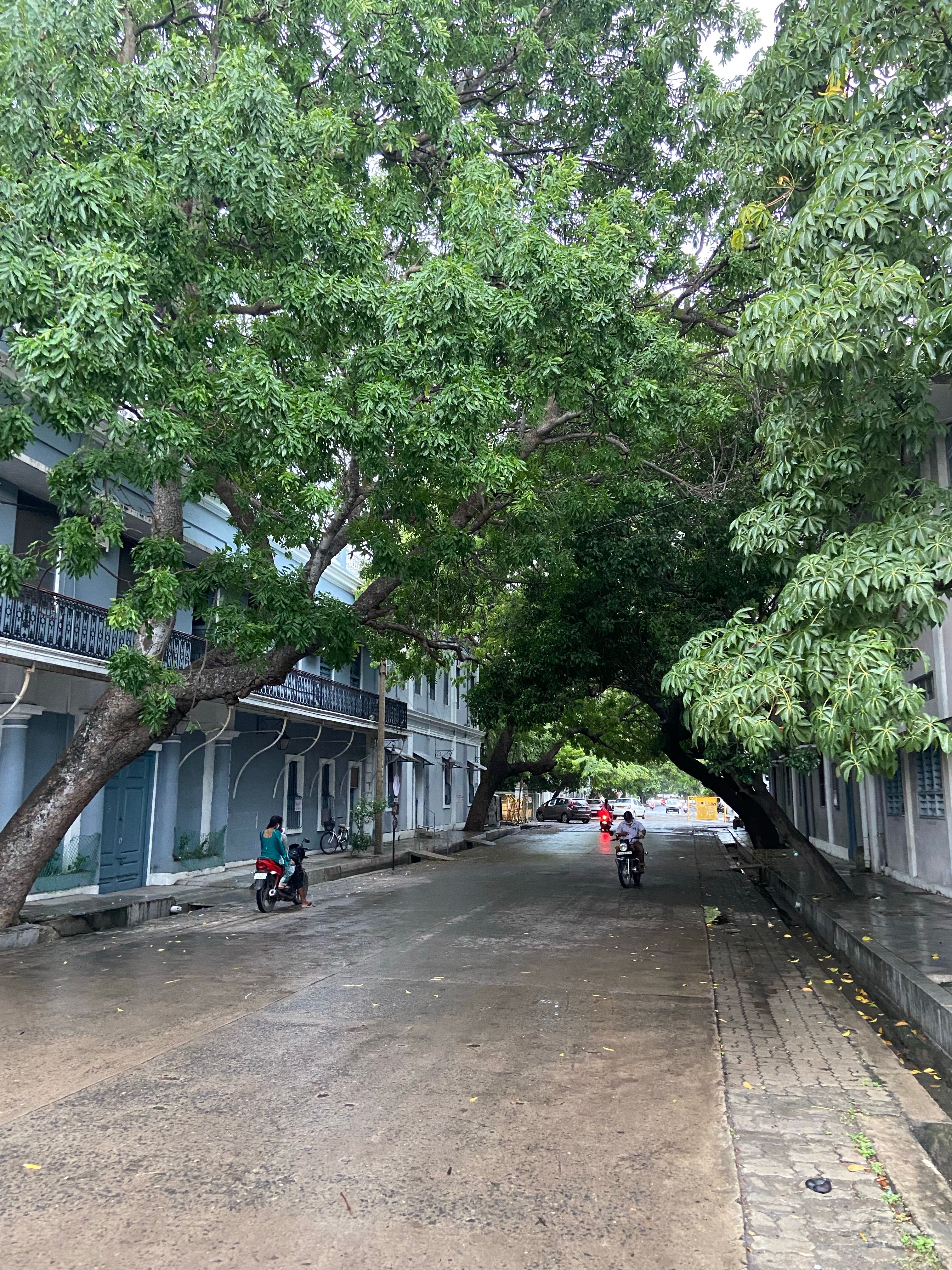 Kostenlos Kostenloses Stock Foto zu nach dem regen, nasse straße, nasser boden Stock-Foto