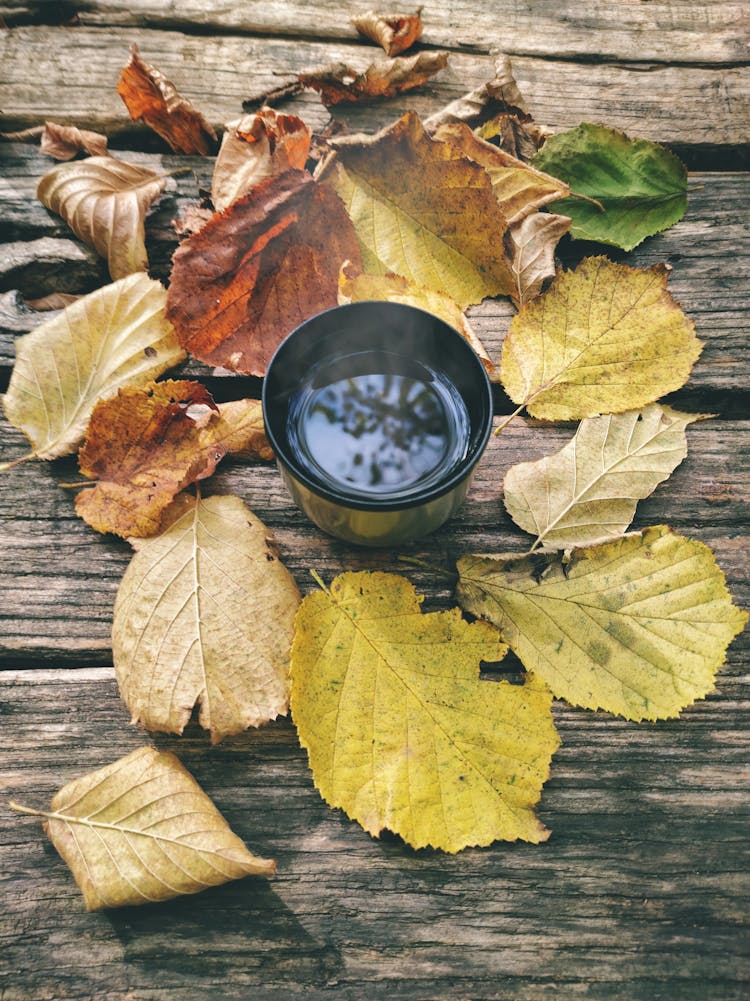 Photograph Of A Hot Drink Beside Autumn Leaves