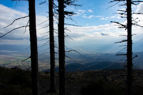 Immagine gratuita di cielo, erba, montagne