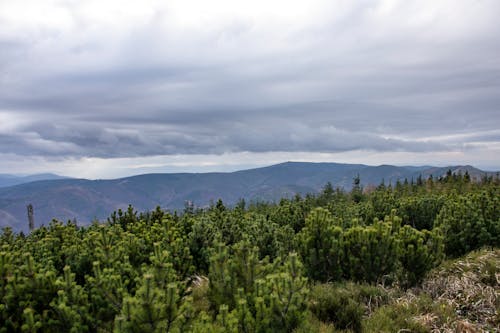 Immagine gratuita di cielo, erba, montagne