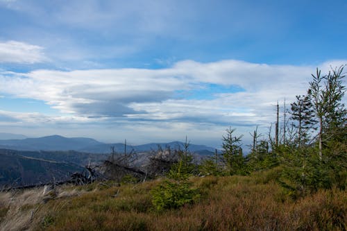 Immagine gratuita di cielo, erba, montagne