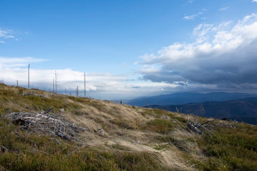 Immagine gratuita di cielo, erba, montagne