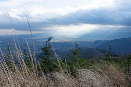 Immagine gratuita di cielo, erba, montagne