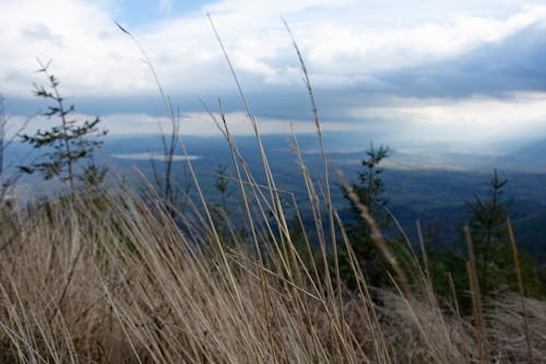 Immagine gratuita di cielo, erba, montagne