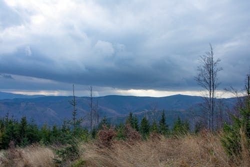 Immagine gratuita di cielo, erba, montagne