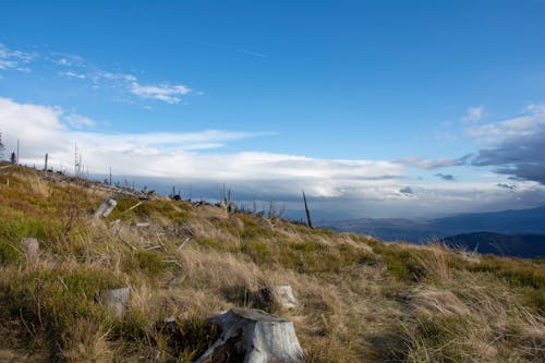 Immagine gratuita di cielo, erba, montagne