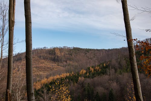 Immagine gratuita di cielo, erba, montagne