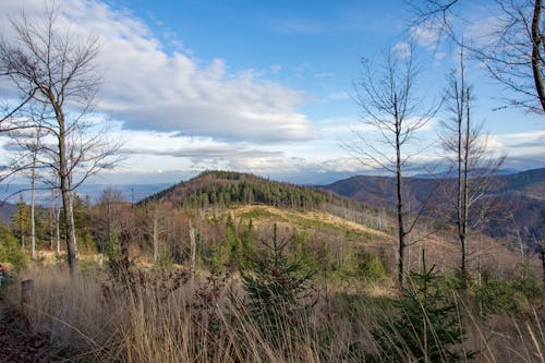 Immagine gratuita di cielo, erba, montagne