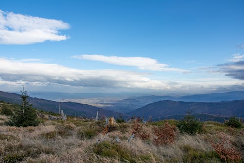 Immagine gratuita di cielo, erba, montagne