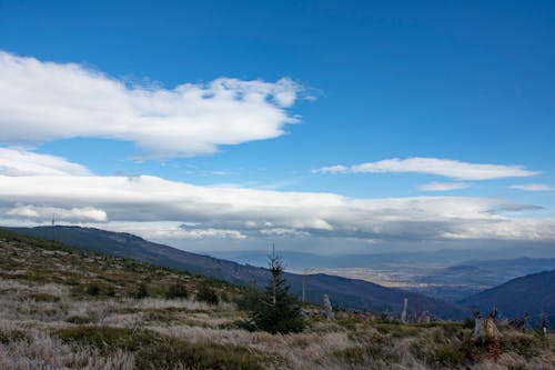 Immagine gratuita di cielo, erba, montagne