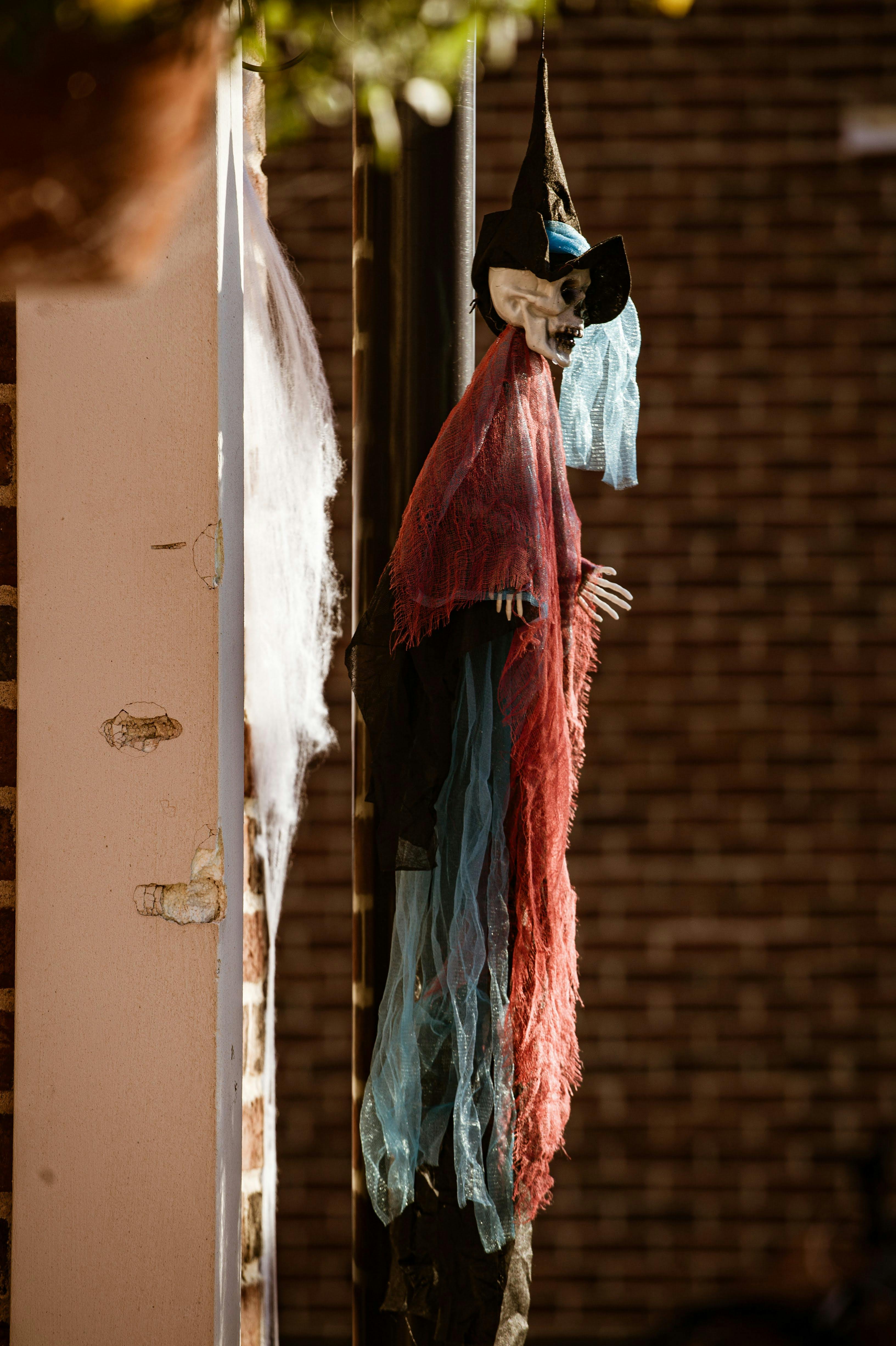 Gratuit Photos gratuites de affichage d'halloween, ambiance d halloween, atmosphère d halloween Photos