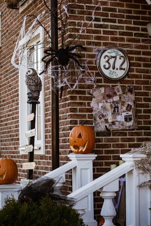 Ilmainen kuvapankkikuva tunnisteilla Halloween, hämähäkki, huumori