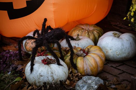 Autumn-themed Halloween decoration with pumpkins, leaves, and a large spider prop.