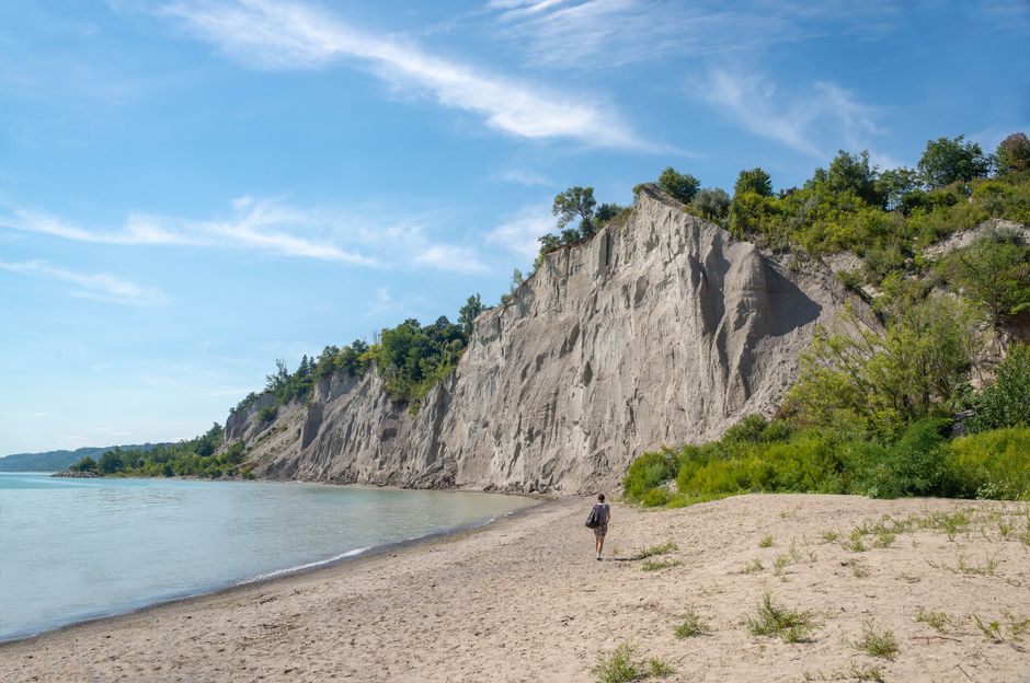 Scarborough Southwest Liberal Race Could Shape Ontario Party's Future