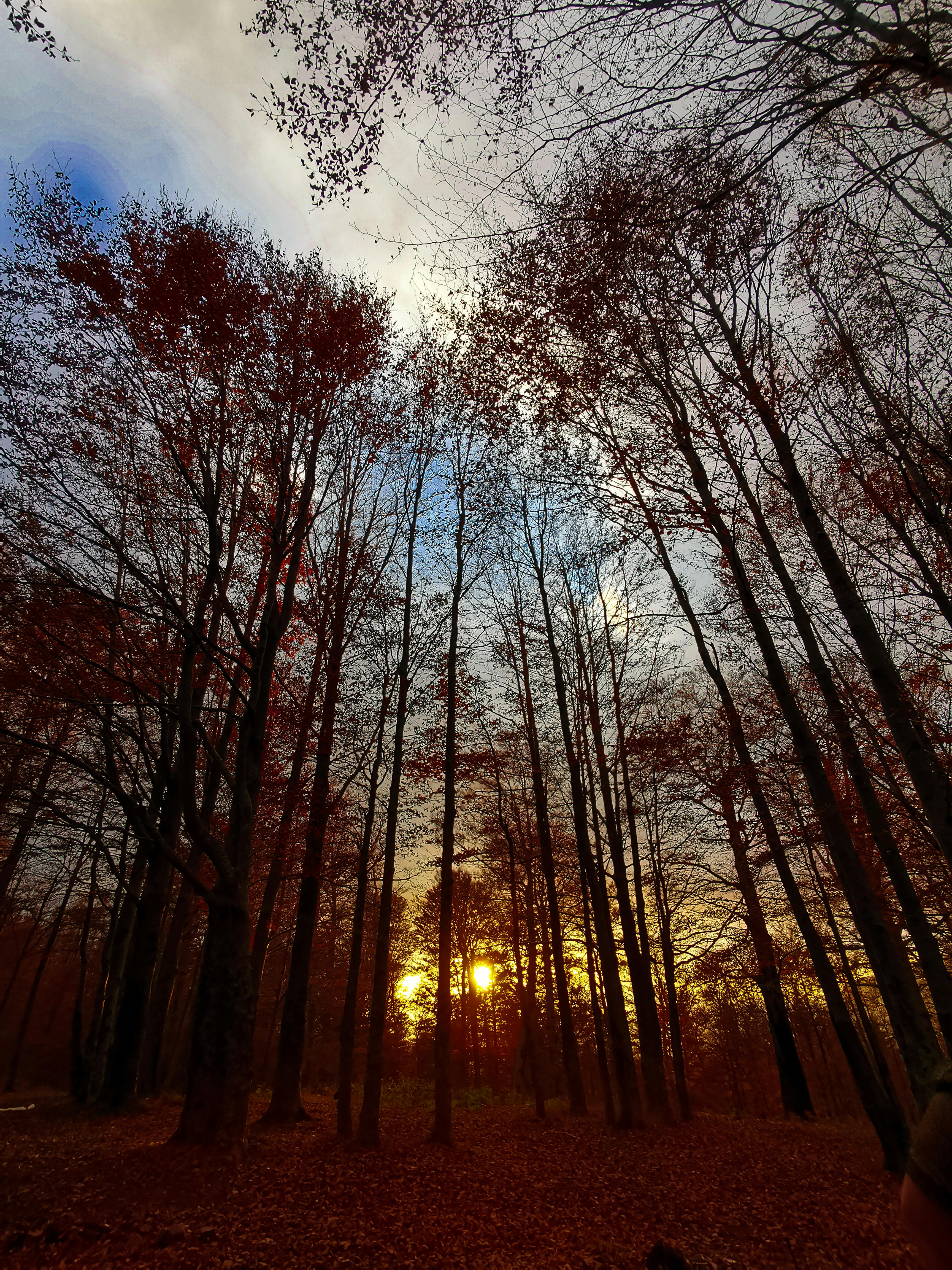 Premium Economy Class