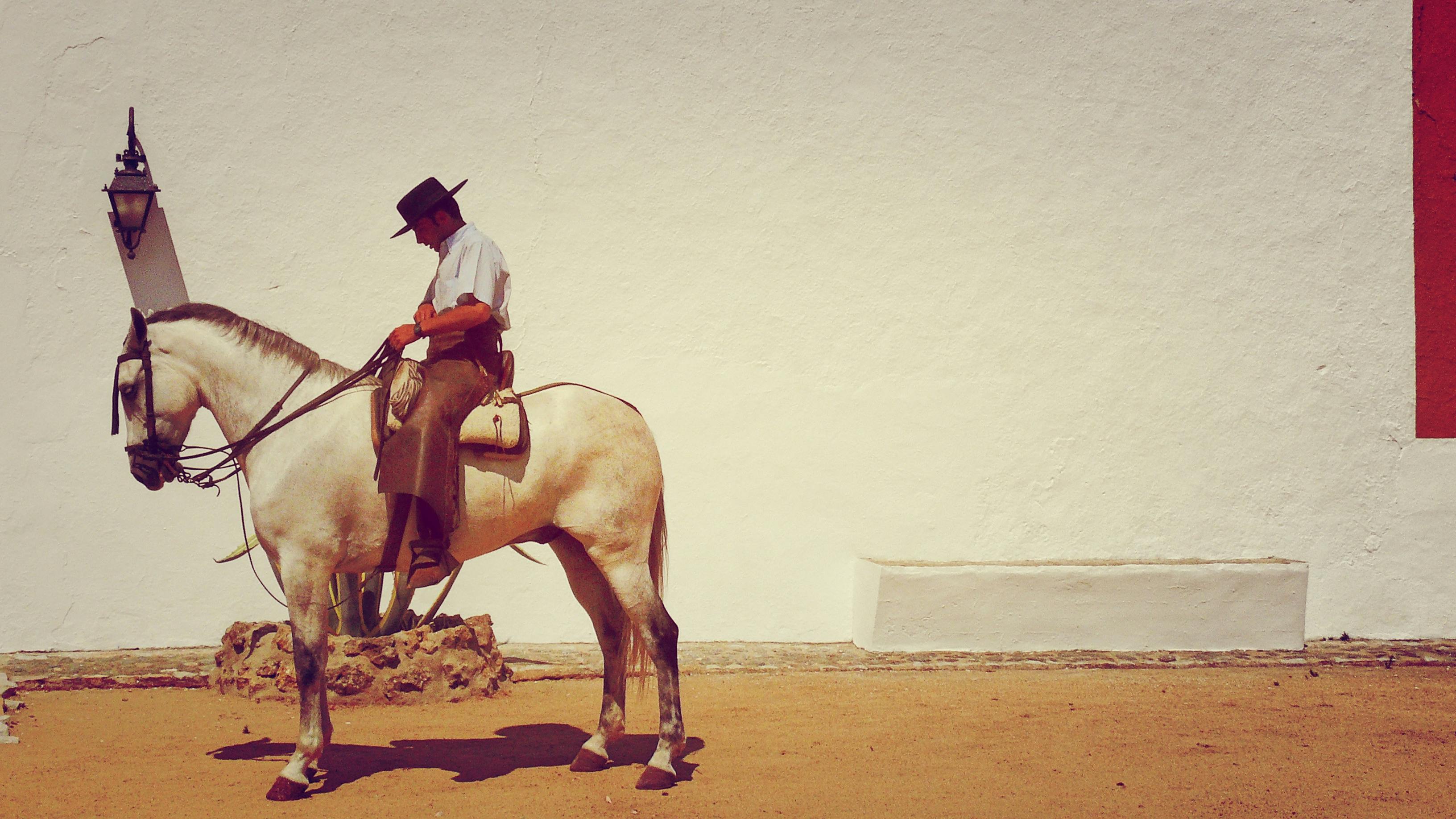 horseman near white wall fence photograph