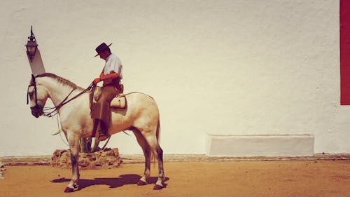 Horseman Near White Wall Fence Photograph