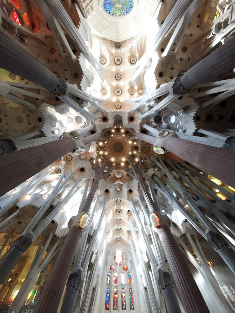 Ceiling Of The Sagrada Familia Church