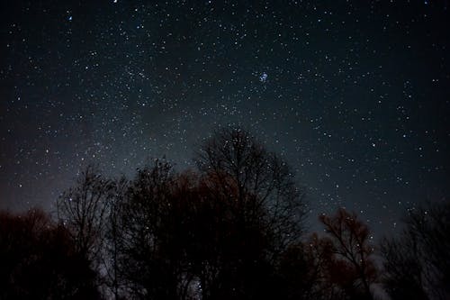 Darmowe zdjęcie z galerii z astrofotografia, drzewa, gwiazdy