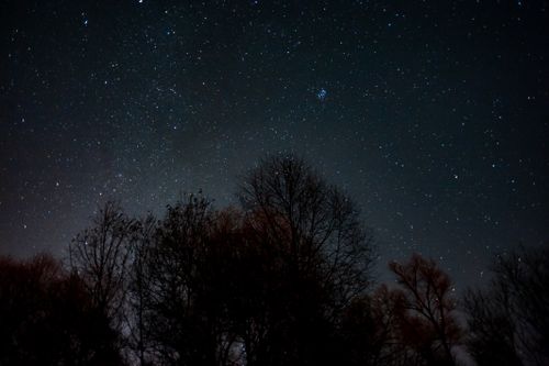 Free A stunning view of a starry night sky with trees silhouetted against the celestial backdrop. Stock Photo