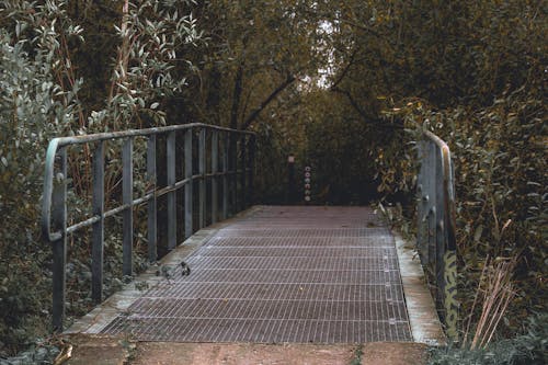 Gray Steel Bridge in Between Trees