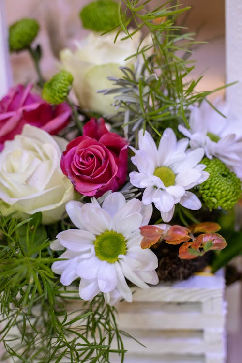 Free Close Up Shot of a Bouquet Flowers Stock Photo
