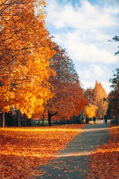 Explore a scenic autumn pathway in Lahti, Finland with vibrant orange foliage.