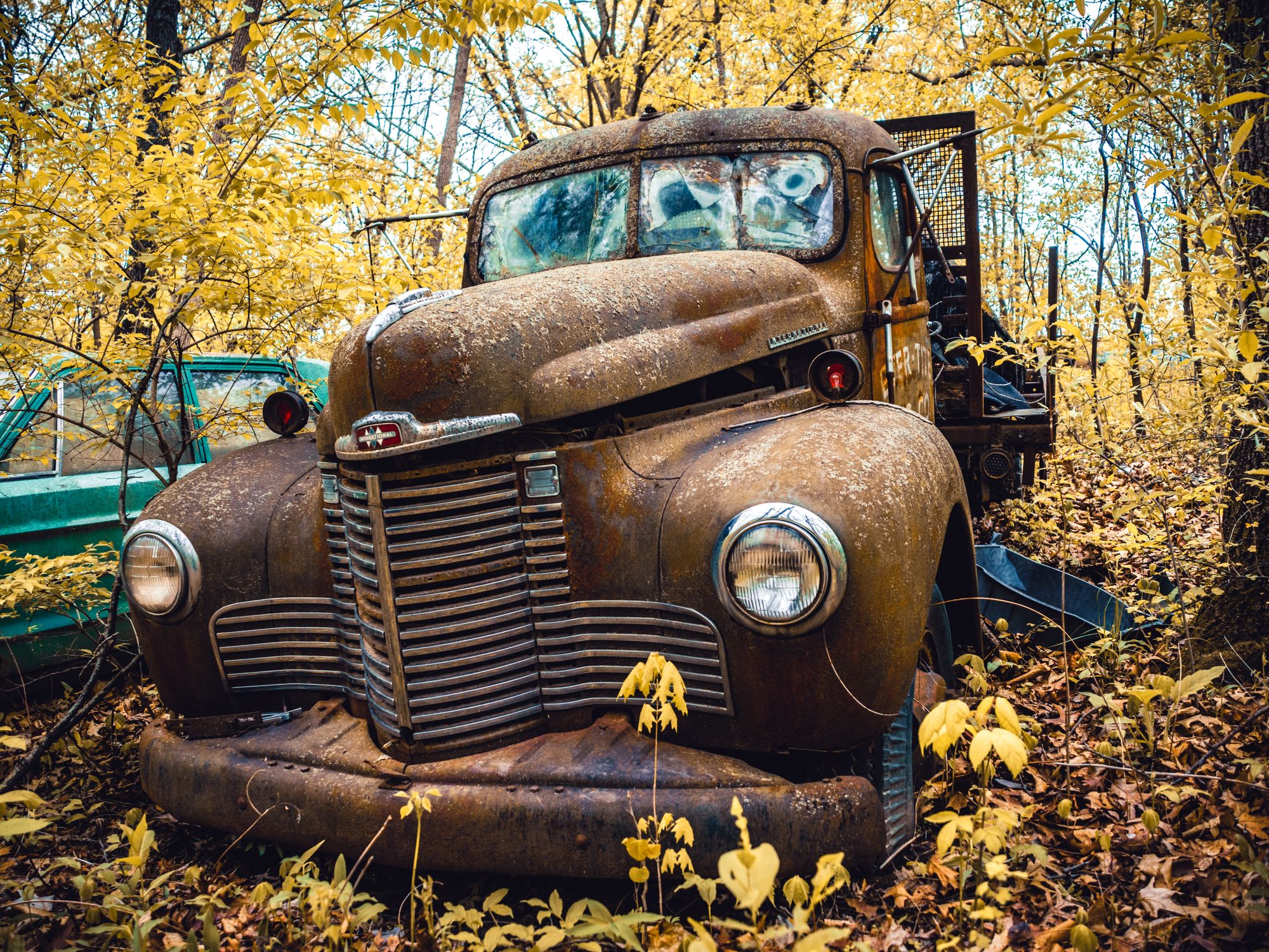 House Clearance in Longdendale, North West — house clearance team loading furniture into a van